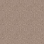 Текстура камня Texture stone Kamen0016