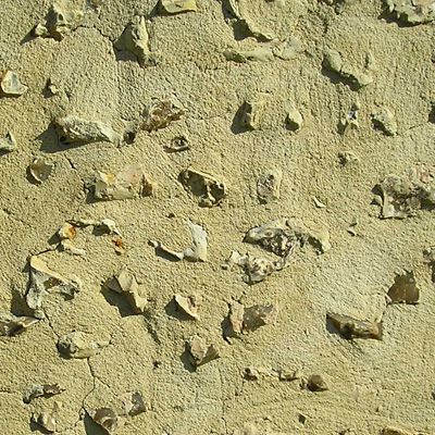 Текстура камня Texture stone KamenPol00132