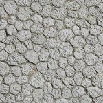 Текстура камня Texture stone KamenPol0077