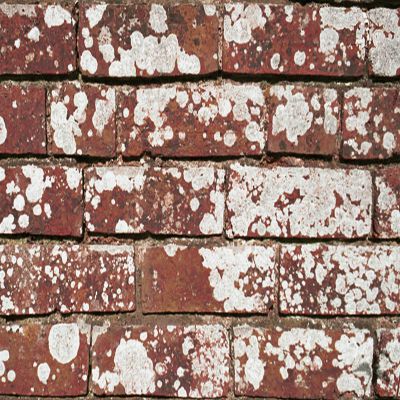 Текстура кирпича Texture brick Kirpitch0030