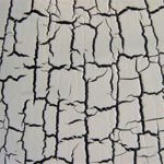 Текстура жидкие обои, штукатурка Texture Liquid Wallpaper, plaster Oboi0041
